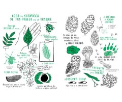 HOLA, NATURA. EXPLORA, DIBUJA, CREA Y DESCUBRE LA NATURALEZA 3