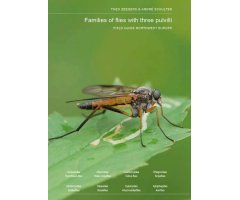 FIELD GUIDE TO FLIES WITH THREE PULVILLI. FAMILIES OF HOMEODACTYLA OF NORTHWEST EUROPE