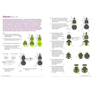 FIELD GUIDE TO FLIES WITH THREE PULVILLI. FAMILIES OF HOMEODACTYLA OF NORTHWEST EUROPE 4