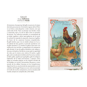 EL PEQUEÑO LIBRO DE LAS AVES_1