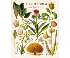 FLORILEGIUM JOAN FONTCUBERTA