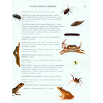 A WINDOW ON ETERNITY: A BIOLOGIST'S WALK THROUGH GORONGOSA NATIONAL PARK_1