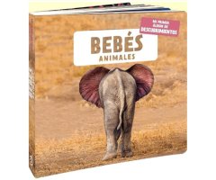 BEBÉS ANIMALES. MI PRIMER ÁLBUM DE DESCUBRIMIENTOS