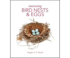 INTERESTING BIRD NESTS AND EGGS