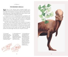 THE LITTLE BOOK OF DINOSAURS 3