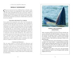 THE LITTLE BOOK OF WHALES 2