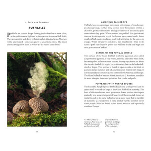 THE LITTLE BOOK OF FUNGI 4