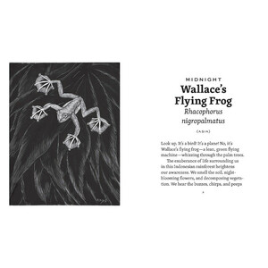 FROG DAY: A STORY OF 24 HOURS AND 24 AMPHIBIAN LIVES_1