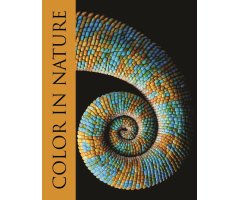 COLOR IN NATURE