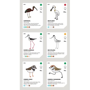 EXPLORANT EL MAPA. DELTA DE L'EBRE_1