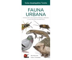 FAUNA URBANA. INTRODUCCIÓN A LAS ESPECIES IBÉRICAS Y BALEARES Y A SUS SERVICIOS ECOSISTÉMICOS. GUÍAS DESPLEGABLES TUNDRA