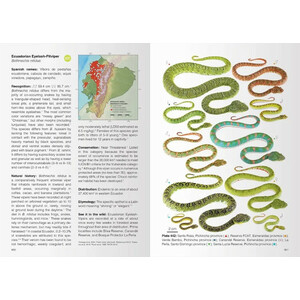 REPTILES OF ECUADOR. LIFE IN THE MIDDLE OF THE WORLD 3