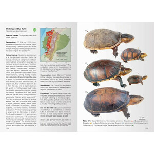 REPTILES OF ECUADOR. LIFE IN THE MIDDLE OF THE WORLD 4