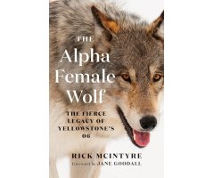 THE ALPHA FEMALE WOLF. THE FIERCE LEGACY OF YELLOWSTONE'S 06