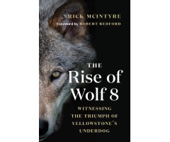 THE RISE OF WOLF 8. WITNESSING THE TRIUMPH OF YELLOWSTONE'S UNDERDOG