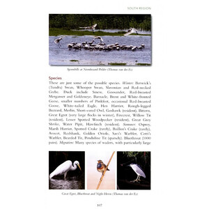 A BIRDWATCHING GUIDE TO THE NETHERLANDS_1