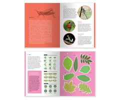 MANUAL PARA PEQUEÑOS MONTAÑEROS 3