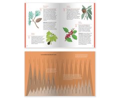 MANUAL PARA PEQUEÑOS MONTAÑEROS 4