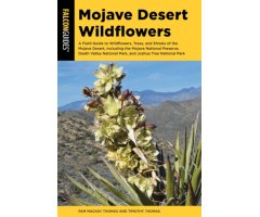MOJAVE DESERT WILDFLOWERS