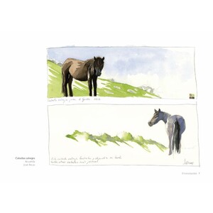 CUADERNO DE CAMPO. APRENDE DIBUJANDO 4