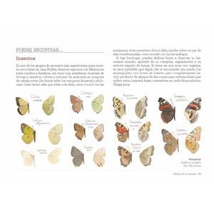 CUADERNO DE CAMPO. APRENDE DIBUJANDO 7