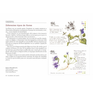 CUADERNO DE CAMPO. APRENDE DIBUJANDO 8