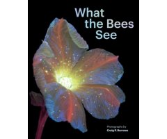 WHAT THE BEES SEE