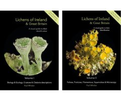 LICHENS OF IRELAND & GREAT BRITAIN: A VISUAL GUIDE TO THEIR IDENTIFICATION (2 VOLUME SET)