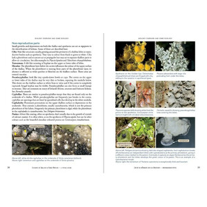 LICHENS OF IRELAND & GREAT BRITAIN: A VISUAL GUIDE TO THEIR IDENTIFICATION (2 VOLUME SET)_1