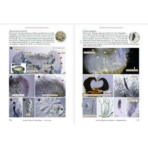 LICHENS OF IRELAND & GREAT BRITAIN: A VISUAL GUIDE TO THEIR IDENTIFICATION (2 VOLUME SET) 4