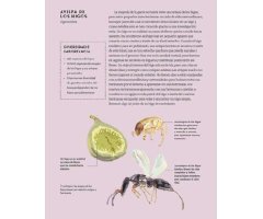 QUÉ HACEN LOS INSECTOS Y POR QUÉ 2