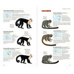 NEOTROPICAL PRIMATES 3