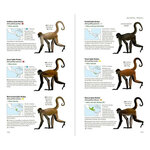 NEOTROPICAL PRIMATES 5