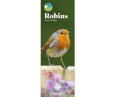 CALENDARIO ALARGADO PETIRROJO RSPB ROBIN CALENDAR 2025