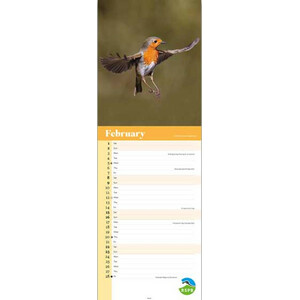 CALENDARIO ALARGADO PETIRROJO RSPB ROBIN CALENDAR 2025_1