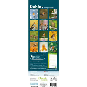 CALENDARIO ALARGADO PETIRROJO RSPB ROBIN CALENDAR 2025 3