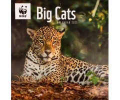 CALENDARIO WWF BIG CATS SQUARE WALL CALENDAR 2025