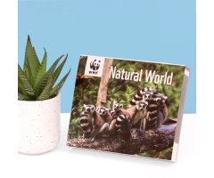 WWF NATURAL WORLD BOX CALENDAR 2025