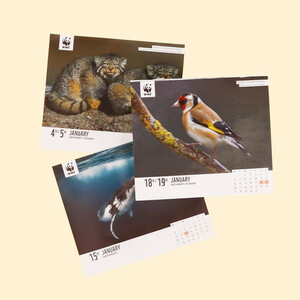 WWF NATURAL WORLD BOX CALENDAR 2025_1