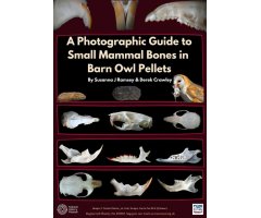 A PHOTOGRAPHIC GUIDE TO SMALL MAMMAL BONES IN BARN OWL PELLETS