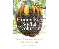 HONEY BEE SOCIAL EVOLUTION. GROUP FORMATION, BEHAVIOR, AND PREEMINENCE
