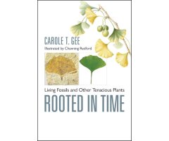 ROOTED IN TIME. LIVING FOSSILS AND OTHER TENACIOUS PLANTS