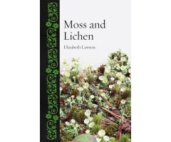 MOSS AND LICHEN