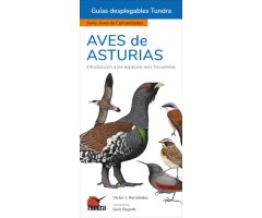 AVES DE ASTURIAS. INTRODUCCIÓN A LAS ESPECIES MÁS FRECUENTES. GUÍAS DESPLEGABLES TUNDRA