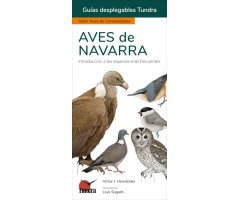 AVES DE NAVARRA. INTRODUCCIÓN A LAS ESPECIES MÁS FRECUENTES. GUÍAS DESPLEGABLES TUNDRA
