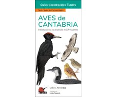 AVES DE CANTABRIA. INTRODUCCIÓN A LAS ESPECIES MÁS FRECUENTES. GUÍAS DESPLEGABLES TUNDRA