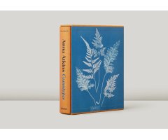 ANNA ATKINS. CYANOTYPES