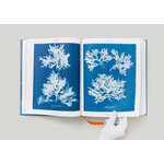 ANNA ATKINS. CYANOTYPES 7