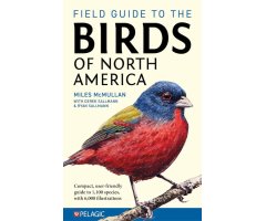 FIELD GUIDE TO THE BIRDS OF NORTH AMERICA