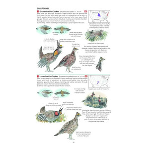 FIELD GUIDE TO THE BIRDS OF NORTH AMERICA 3